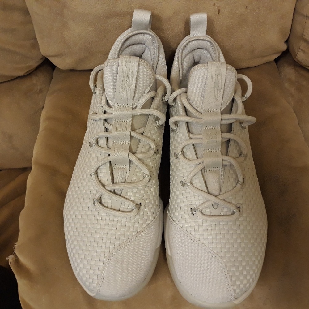 Nike Lebrons XIV Low.